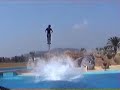 Marineland ?pan?lsko 2006 Marineland ?pan?lsko 2006