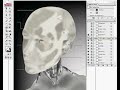 Adobe Illustrator CS part 2