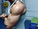Em preparação para a Taça de Portugal IFBB 2008 - Ginásio 2ff Fitness e Forma (Poses tronco 2)