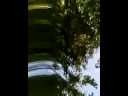 Me landing on My phone