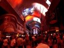 Canopy show