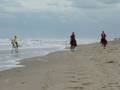 videos de 3 watjes op het strand