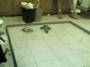 2 on 1 Ultra Havoc fights Inept and \"Dan\