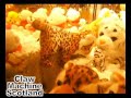Claw Machine Scotland Irn Bru Carnival PART FIVE