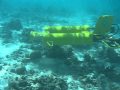 Starbug AUV
