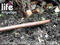 Drip Irrigation Drip Irrigation