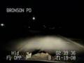 A Deer In The Headlights