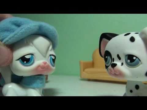 pet