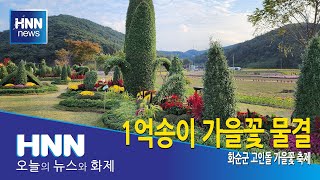 1억송이 가을꽃 물결