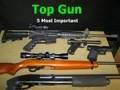 Top Gun 5 Most Important Personal Firearms