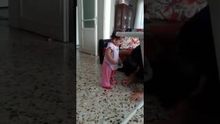 İzleyipte gülmemek  mümkün değil :)
