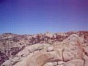 PAISAJE LAGUNA JANSON