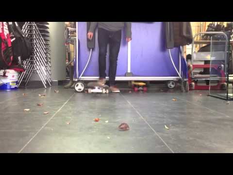 TRE FLIP CONTROL SKATE SUPPORT