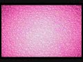 Sailor Moon Romance Final Ep.88 2/2 Espa�ol Mx