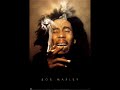 bob marley tribute