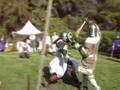 SCA Drachenwald Autumn Crown Tourney - Final