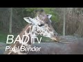 Bad TV Pixel Bender Plugin for After Effects Demo