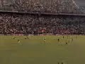 Tigre-Sanlore II