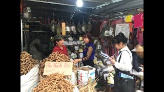 Kiểm tra cơ sở kinh doanh dược liệu