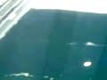 Warga Sidoarjo dan Surabaya Terancam Banjir (The End)