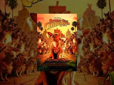 Beverly Hills Chihuahua