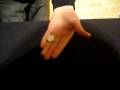 videos de The Raven 1