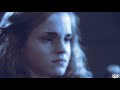 Hermione/Draco/Herry Malchik Gay