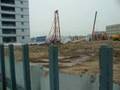 Chinese Task - 尋根