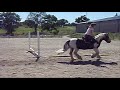M�rkaskogs Keiron
