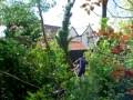 chainsaw accident