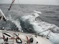Mini, sailing, transat, 650 Mini, sailing, transat, 650