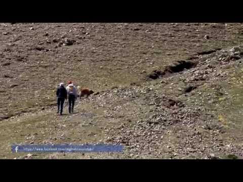 Mgl Retriever Club Ayalal. Монголын Ретривэр Клуб аялал