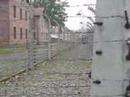 auschwitz