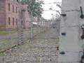 auschwitz