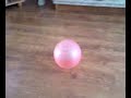 spining-bloon-xd.html