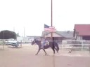 \"Oreo\" - supergentlehorses.com Gilbert, AZ \"Oreo\" - supergentlehorses.com Gilbert, AZ