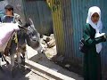 yemen jibla 5