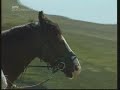 Country Tracks Episode 3 - Natural first aid treatments