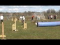 Stafet / Relay agility competition DKK Viby 08