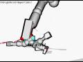 videos de triple kick