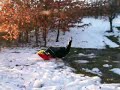 Manu nella neve