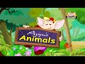 Learn about Animals in Hindi - Introduction