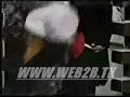 Profesor Rosa - 11
