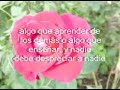 con manos vacias (jesus adrian)