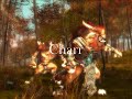 Guild Wars 2: New Races