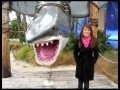December 2010 Video Newsletter