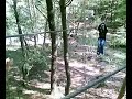 Volo di Vic�