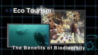 Official video of the International Year of Biodiversity 2010