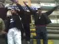 te dare-betulians