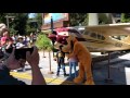 Video for disney world meet and greet characters 2013 honda